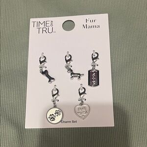 Silver Pet Charm Set with Paw, Bone & Heart Accents